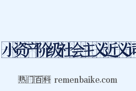 小资产阶级社会主义近义词是什么意思的图片